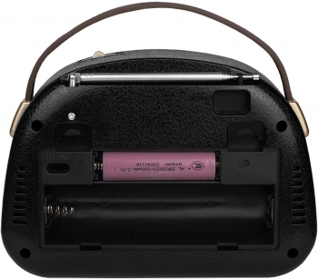 Радиоприемник портативный Ritmix RPR-040