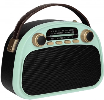 Радиоприемник портативный Ritmix RPR-040