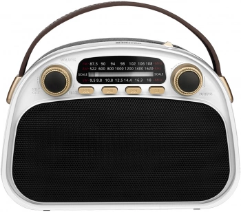 Радиоприемник портативный Ritmix RPR-040