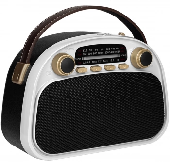 Радиоприемник портативный Ritmix RPR-040