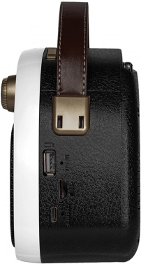 Радиоприемник портативный Ritmix RPR-040