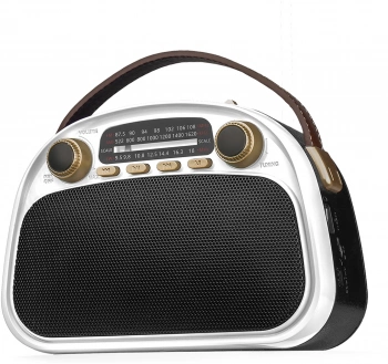 Радиоприемник портативный Ritmix RPR-040