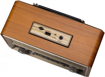 Радиоприемник настольный Ritmix RPR-111