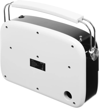 Радиоприемник портативный Ritmix RPR-705