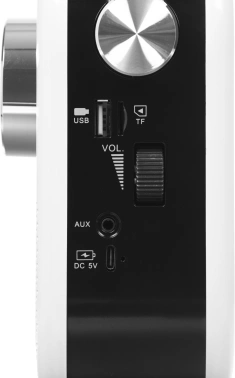 Радиоприемник портативный Ritmix RPR-705