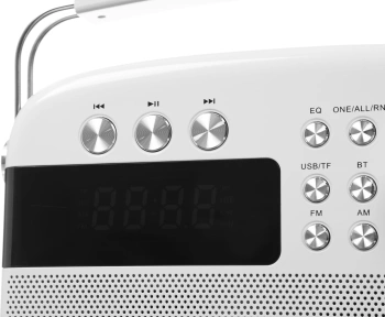 Радиоприемник портативный Ritmix RPR-705