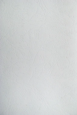 Обложки для переплёта Silwerhof Daily A4 230г/м2 белый (100шт)