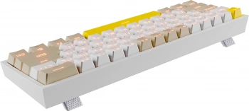 Клавиатура Redragon Fizz Pro