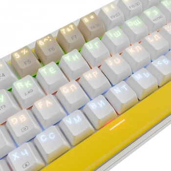 Клавиатура Redragon Fizz Pro