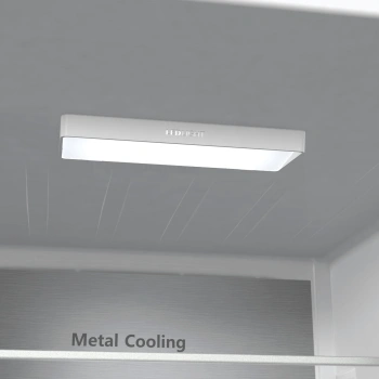 Холодильник Hisense RM469N4AFD1