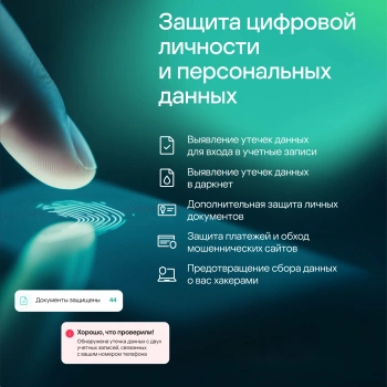 Программное Обеспечение Kaspersky Standard 1-Device 1 year Base Card (KL1041ROAFS)