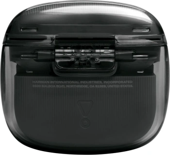 Гарнитура вкладыши JBL Tune Flex 2 Ghost Edition