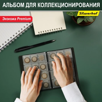 Папка с 10 прозр.вклад. Silwerhof Create ПВХ 0.25мм бордовый