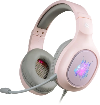 Наушники с микрофоном Defender Fury