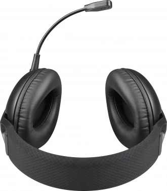 Наушники с микрофоном Defender Mamba