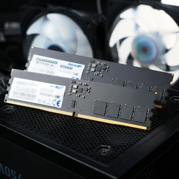 Память DDR5 32GB 6400MHz Patriot  PSD532G6402C