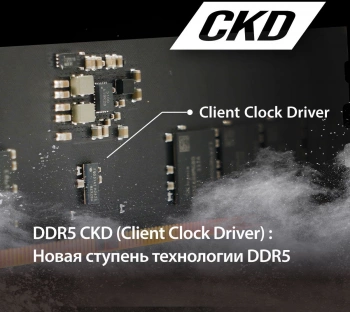 Память DDR5 32GB 6400MHz Patriot  PSD532G6402C