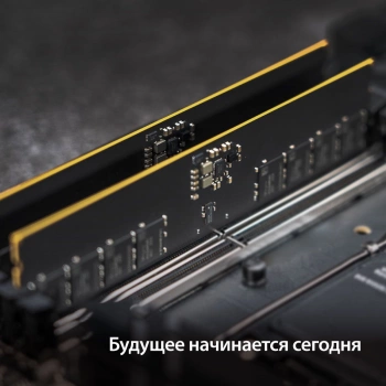 Память DDR5 32GB 6400MHz Patriot  PSD532G6402C