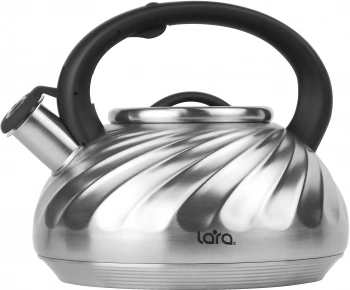 Чайник металлический Lara LR00-91