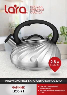 Чайник металлический Lara LR00-91