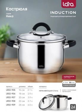 Кастрюля Lara Ника LR02-905