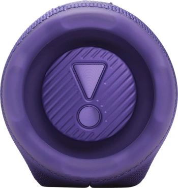 Колонка порт. JBL Charge 6