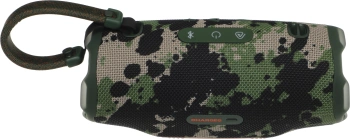 Колонка порт. JBL Charge 6