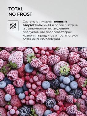 Холодильник Lex LCD505BlOrID