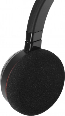 Наушники с микрофоном Jabra Evolve 20