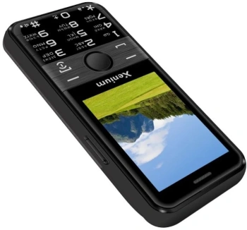 Мобильный телефон Xenium X800
