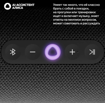 Умная колонка Yandex Стрит Алиса черный 30W 2.0 BT/Wi-Fi 10м 3300mAh (YNDX-00030BLK)