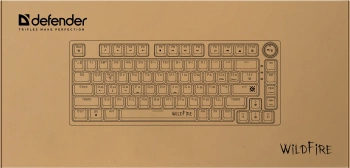 Клавиатура Defender Wildfire GK-213
