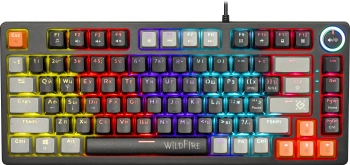 Клавиатура Defender Wildfire GK-213