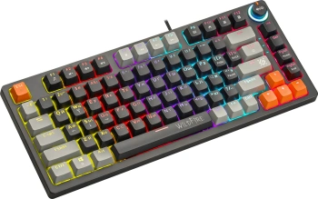 Клавиатура Defender Wildfire GK-213