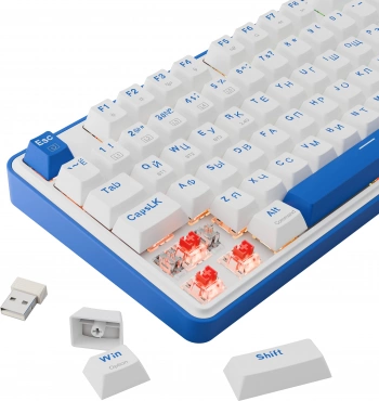 Клавиатура Redragon Faye Pro