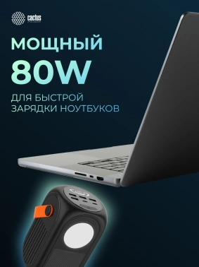 Мобильный аккумулятор Cactus  CS-PBFSUD-60000