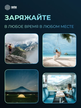 Мобильный аккумулятор Cactus  CS-PBFSUD-60000