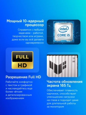 Ноутбук Asus TUF Gaming F16  FX608JH-RV065