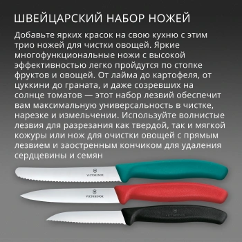 Набор ножей Victorinox Swiss Classic 6.7116.34C1