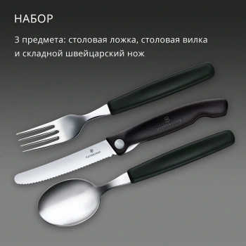 Набор столовых приборов Victorinox Swiss Classic 6.7193.3F