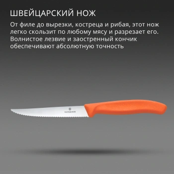 Нож кухонный Victorinox Swiss Classic 6.7239.C1