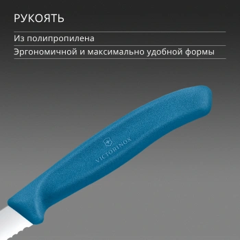 Нож кухонный Victorinox Swiss Classic