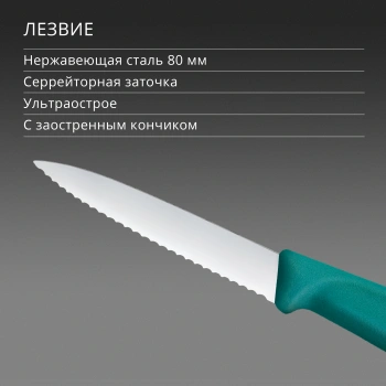 Нож кухонный Victorinox Swiss Classic