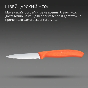 Нож кухонный Victorinox Swiss Classic