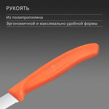 Нож кухонный Victorinox Swiss Classic