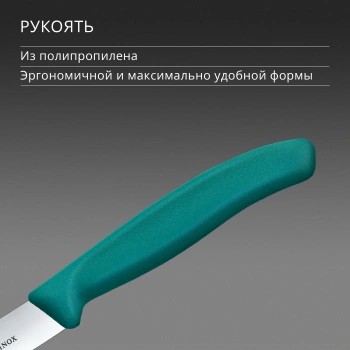 Нож кухонный Victorinox Swiss Classic