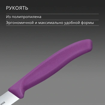 Нож кухонный Victorinox Swiss Classic