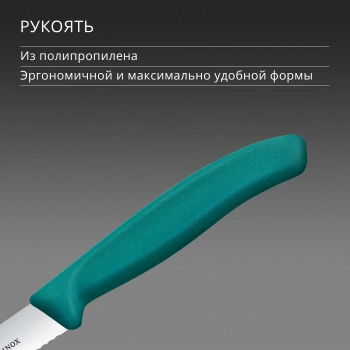 Нож кухонный Victorinox Swiss Classic