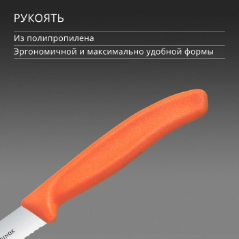 Нож кухонный Victorinox Swiss Classic