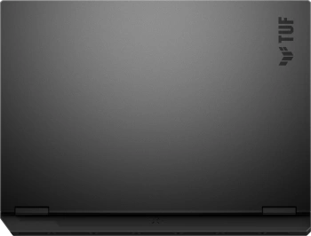 Ноутбук Asus TUF Gaming A16  FA608UM-RV097